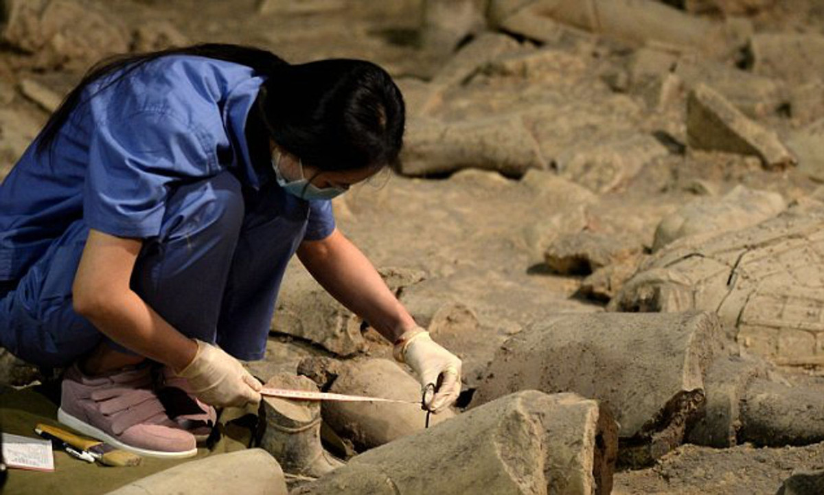 Khi di chuyển cỗ quan tài để mang về cơ sở nghiên cứu, họ phát hiện phía dưới là một kho báu quý giá gồm hơn 80 bức tượng gốm đời Đường (còn gọi là tượng Đường Tam Thể vì có 3 màu sắc chủ đạo là vàng, xanh lục và trắng).