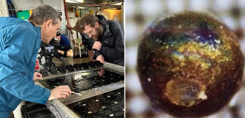 "Khi quan sát dưới kính hiển vi, chúng trông rất khác biệt với nền xung quanh. Chúng có màu vàng, xanh lam, nâu, một số loại trông giống như mô hình thu nhỏ của Trái Đất", nhà vật lý thiên văn Loeb nói.