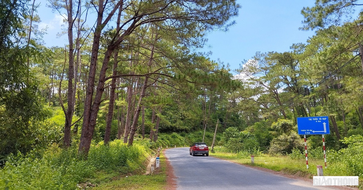Mo duong noi dai ngan Khanh Hoa - Ninh Thuan - Lam Dong, pha the doc dao-Hinh-2