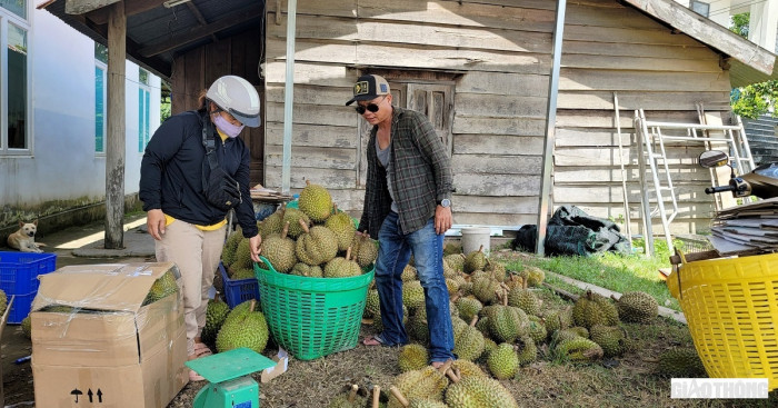 Mo duong noi dai ngan Khanh Hoa - Ninh Thuan - Lam Dong, pha the doc dao-Hinh-3