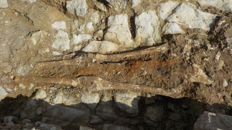 Từ những hiện vật này, các nhà nghiên cứu suy đoán khi còn sống, người đàn ông này có thể là một chiến binh La Mã cổ đại.