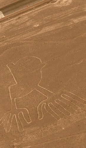 Loài cây huarango có thể sống hơn 1.000 năm và có vai trò rất lớn trong việc ổn định độ ẩm và giúp đất đai màu mỡ, thích hợp cho hoạt động sản xuất nông nghiệp. Thế nhưng, trong suốt hàng trăm năm, người dân đã liên tục chặt hạ cây huarango để lấy đất trồng hoa màu. Việc này đã phá vỡ sự cân bằng hệ sinh thái và khiến nền văn minh này từ từ sụp đổ.