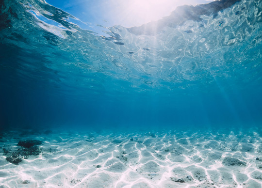 Sau một thời gian nghiên cứu, các chuyên gia đã có một vài phát hiện quan trọng, Trong đó, âm thanh “bloop” do NOAA thu được trong khoảng 1 phút là một dải âm thanh với tần số cực thấp nhưng có cường độ âm lớn hơn nhiều so với bất kỳ tiếng ồn nào do động vật dưới biển gây ra đã được con người biết đến.