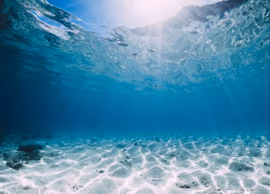 Sau một thời gian nghiên cứu, các chuyên gia đã có một vài phát hiện quan trọng, Trong đó, âm thanh “bloop” do NOAA thu được trong khoảng 1 phút là một dải âm thanh với tần số cực thấp nhưng có cường độ âm lớn hơn nhiều so với bất kỳ tiếng ồn nào do động vật dưới biển gây ra đã được con người biết đến.