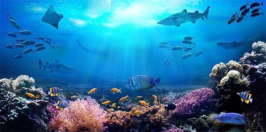 Thêm nữa, hình ảnh phổ âm thu được của tiếng băng cũng khá tương tự so với phổ âm của "bloop". Sau khi nghiên cứu tỉ mỉ, các nhà nghiên cứu cho rằng, âm thanh "bloop" có thế chính là tiếng nứt gãy của các tảng băng trên biển hoặc dưới lòng đại dương. Để củng cố quan điểm này, các nhà khoa học sẽ cần tìm thêm bằng chứng cụ thể hơn.