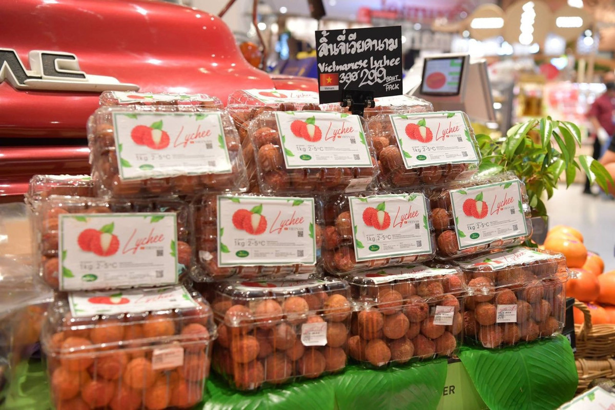 Sau Mỹ, Nhật, vải thiều Bắc Giang đổ bộ Thái Lan - Hình 2 Sau My, Nhat, vai thieu Bac Giang do bo Thai Lan-Hinh-2