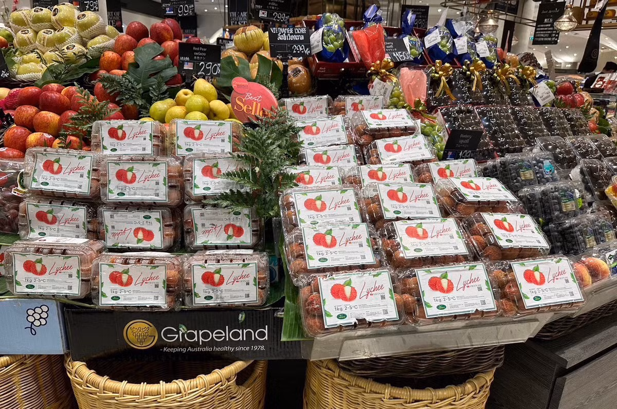 Sau My, Nhat, vai thieu Bac Giang do bo Thai Lan