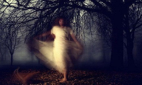 Chan dong tuyen bo: “Linh hon co that, ton tai mai mai”