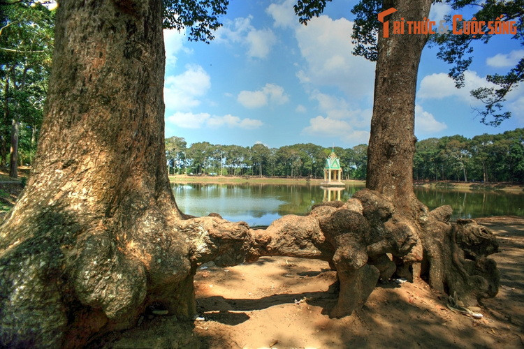  4. Trà Vinh. Tên gọi tỉnh Trà Vinh có nguồn gốc từ tiếng Khmer là "Préah Trapeng", có nghĩa là Ao Phật. Tên gọi này bắt nguồn từ giai thoại về một tượng Phật bằng đá được tìm thấy trong ao ước. Sau này người Việt đã đọc "Trapeng" thành Trà Vinh. Ảnh: Ao Bà Om ở TP Trà Vinh, tỉnh Trà Vinh.