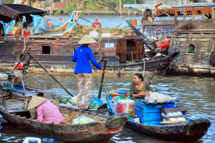  6. Hậu Giang. Cũng như tỉnh Tiền Giang, tên gọi tỉnh Hậu Giang được đặt theo một con sông lớn của miền Tây là sông Hậu. Dòng sông này có độ dài vào khoảng 230 km. Ảnh: Chợ nổi Ba Ngàn họp trên kênh Ba Ngàn, TP Ngã Bảy, tỉnh Hậu Giang.