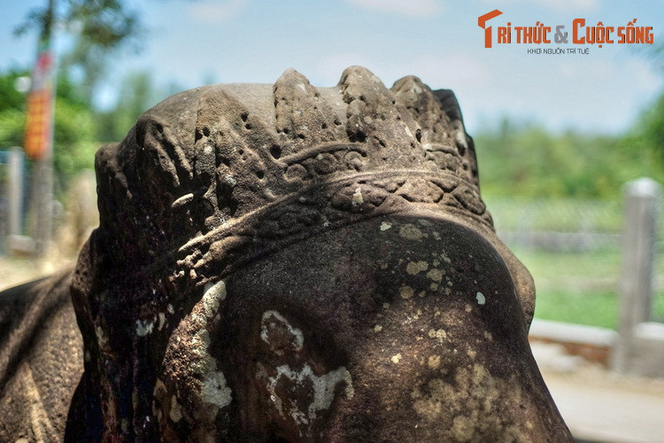 Sau các thăng trầm của lịch sử, cặp voi Bảo vật quốc gia này trở thành những dấu tích hiếm hoi còn sót lại của kinh đô vương quốc Champa xưa.