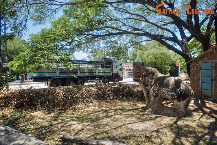 Đối diện với voi lớn là voi nhỏ, cao 1,76 mét, dài 2,2 mét, rộng 85 cm. Bức tượng này thường được gọi là voi cái, còn tượng lớn là voi đực.