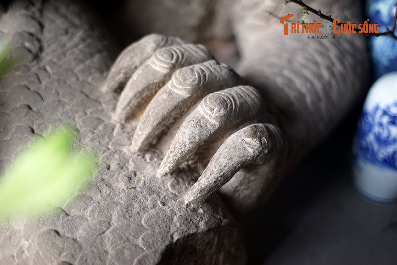 Chân rồng khuỳnh rộng sang hai bên với những móng vuốt nhọn hoắt, gân guốc, mỗi chân xòe rộng năm ngón bấu chặt vào phần thân đuôi.