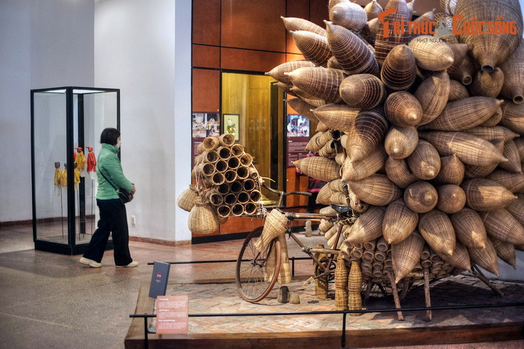 Toàn bộ khuôn viên Bảo tàng có diện tích lên tới 43.799m², được chia làm ba khu trưng bày chính: Tòa nhà Trống Đồng, khu trưng bày ngoài trời và khu trưng bày Đông Nam Á, với tổng số hiện vật đang trưng bày hoặc bảo quản trong kho là 30.000.