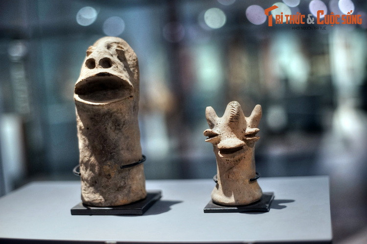 Xa hơn thế, các trưng bày ở tòa nhà Cánh diều vươn ra châu Á, châu Đại Dương, châu Phi và Nam Mỹ, nhờ những bộ sưu tập hiện vật quý giá được các cá nhân và tổ chức hiến tặng.