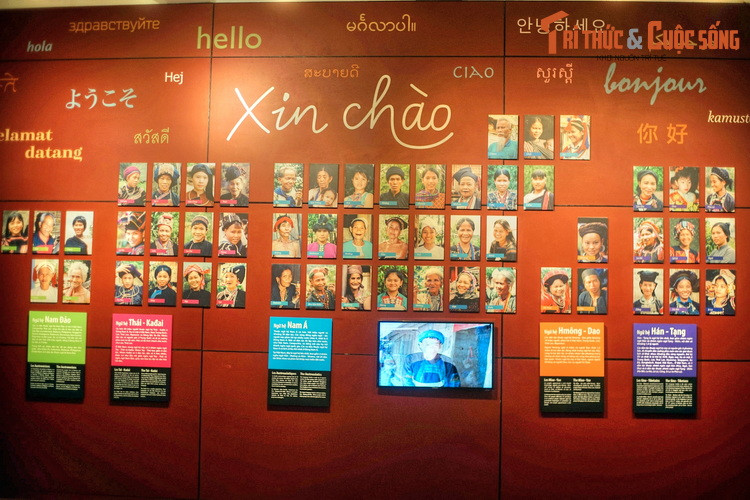 Cơ sở này là nơi nghiên cứu, sưu tầm, bảo quản, phục chế hiện vật và tư liệu về các dân tộc; tổ chức trưng bày, trình diễn và những hình thức hoạt động khác để giới thiệu, giáo dục về văn hoá của các dân tộc ở Việt Nam cũng như các nước khác...