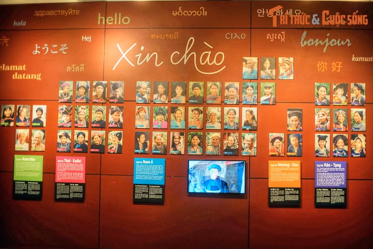 Cơ sở này là nơi nghiên cứu, sưu tầm, bảo quản, phục chế hiện vật và tư liệu về các dân tộc; tổ chức trưng bày, trình diễn và những hình thức hoạt động khác để giới thiệu, giáo dục về văn hoá của các dân tộc ở Việt Nam cũng như các nước khác...