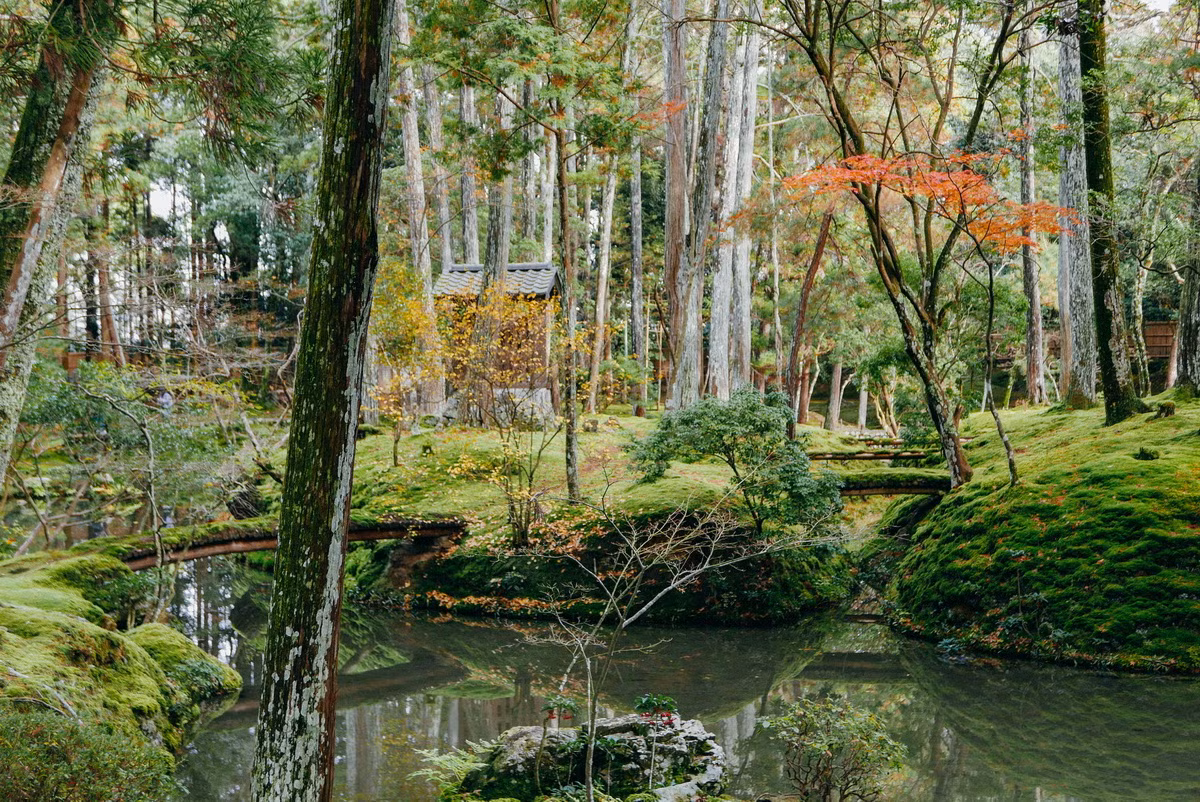  5. Vườn chùa Saiho-ji (Tây Phương Tự, thành phố Kyoto, phủ Kyoto). Khu vườn này có hơn 120 loại rêu và có ảnh hưởng rất lớn đến thiết kế sân vườn Nhật Bản. Nhờ khu vườn này, Saiho-ji cũng được gọi là chùa Rêu. Trong quá khứ, nơi đây từng là dinh thự của hoàng tử Shotoku trước khi trở thành một ngôi chùa vào năm 1339. Ảnh: Nomad in Nihon.