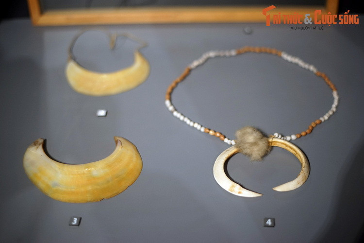 Bên trái: Trang sức đeo cổ làm từ võ trai ngọc (Pinctada maxima), cũng được sử dụng như tiền tệ ở Papua New Guinea thời xưa. Chúng được gọi là kina - nguồn gốc tên gọi đơn vị tiền tệ Papua New Guinea hiện đại. Bên phải: Chuỗi hạt đeo cổ làm từ nanh lợn rừng, hạt ý dĩ, lông mao.