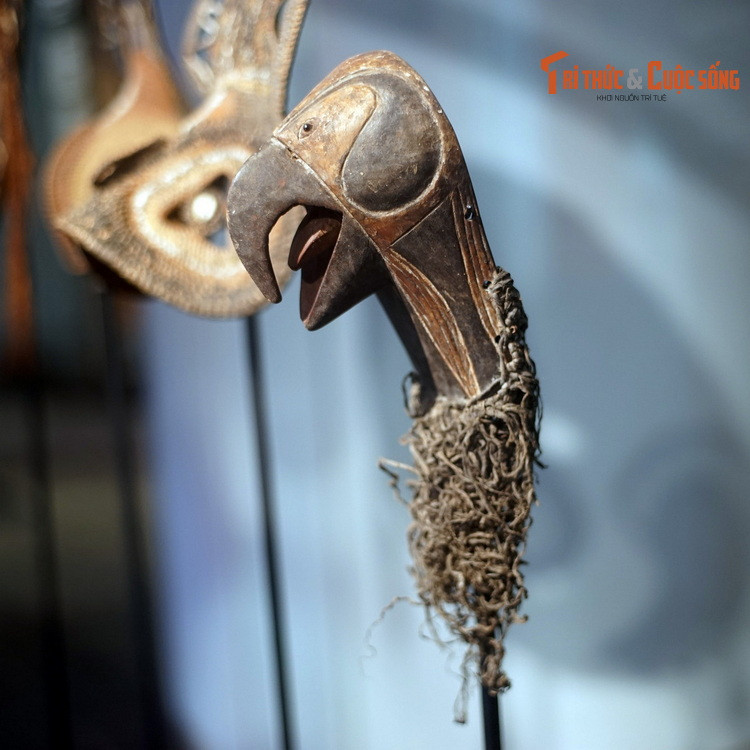 Mặt nạ hình đầu chim làm bằng gỗ, sợi thực vật, phẩm màu, mắt làm bằng vảy ốc xà cừ của cư dân bản địa ở New Ireland, Papua New Guinea.