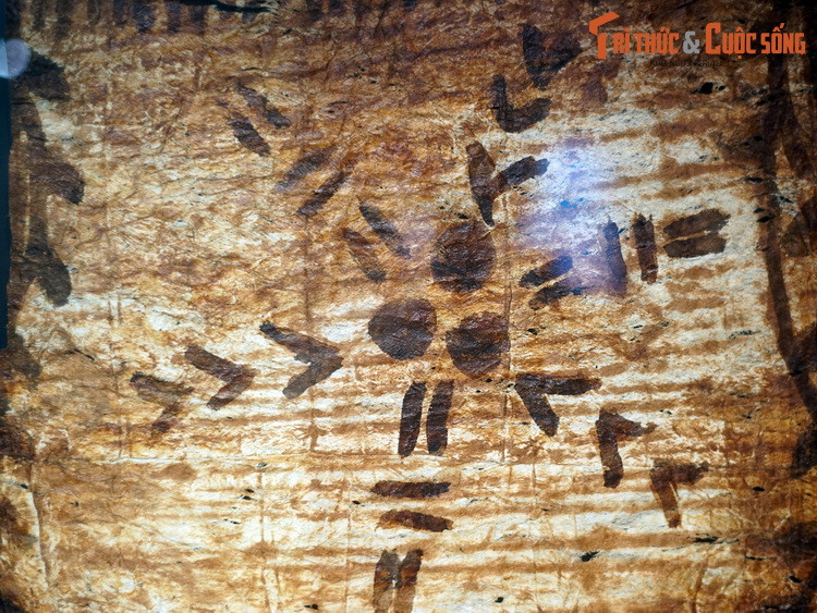 Tapa - loải vải làm từ vỏ cây dướng (Broussonetia papyrifera), trang trí bằng cách in dập họa tiết hoặc vẽ bằng tay, có nguồn gốc từ Tonga hoặc Samoa. Tapa do phụ nữ làm, dùng cho y phục, gói vật thiêng, làm lễ vật, vách ngăn trong nhà...