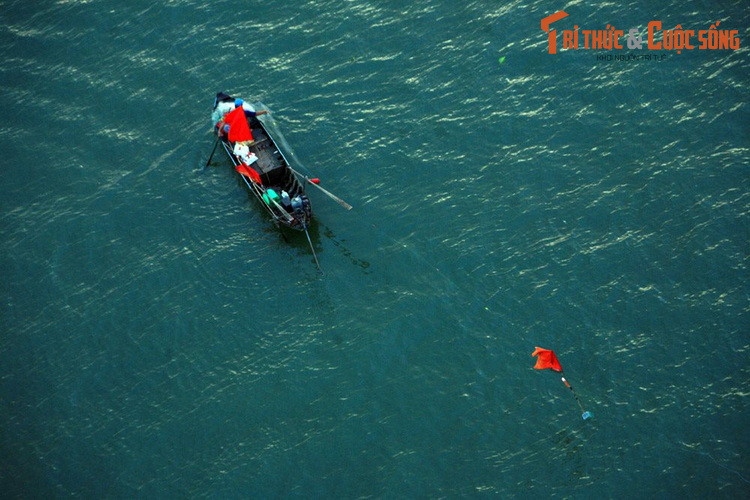 Người ngư dân thả lưới mưu sinh trên sông Tiền.