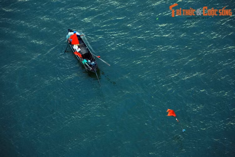 Người ngư dân thả lưới mưu sinh trên sông Tiền.