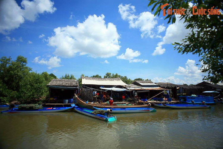 Những ngôi nhà ở ấp Cồn Mũi, xã Đất Mũi, huyện Ngọc Hiển, tỉnh Cà Mau.