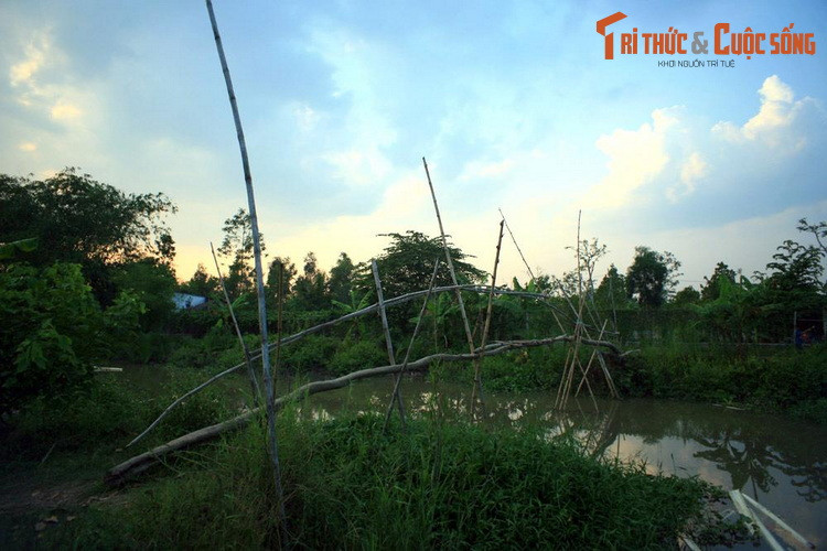 Cây cầu khỉ bắc qua mương nước ở xã Nhơn Nghĩa, huyện Phong Điền, thành phố Cần Thơ.