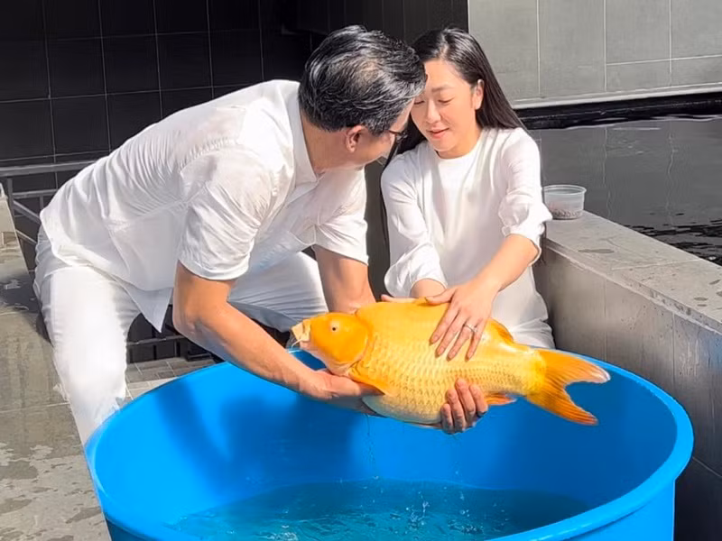 Sau khi ly hôn, “Vua cá Koi Việt Nam” hẹn hò Hà Thanh Xuân. Cặp đôi giữ kín chuyện tình cảm. Ảnh: FBNV