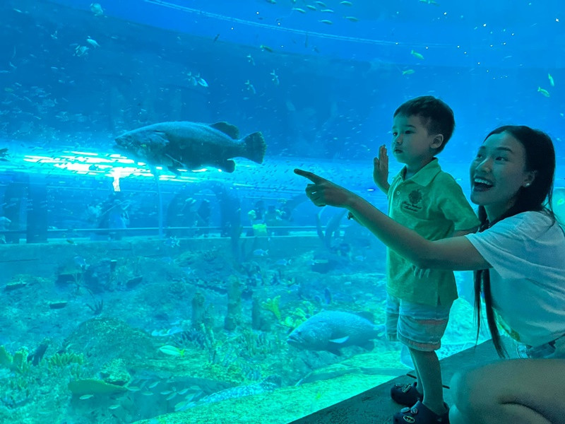 Hoàng Oanh đang làm mẹ đơn thân. Cô chia tay chồng ngoại quốc cách đây không lâu.