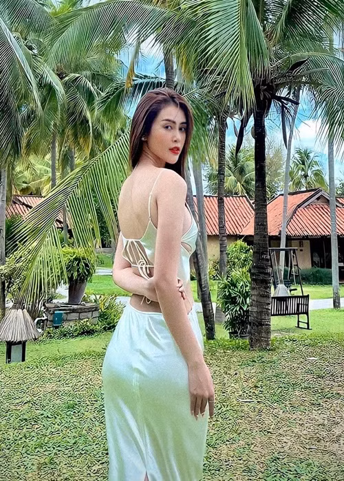 Trước khi đăng quang, Lý Kim Thảo làm MC, đóng phim. Cô từng vào vai chính trong bộ phim “Ngày trở về”, “Gã giang hồ” cùng nhiều MV ca nhạc.