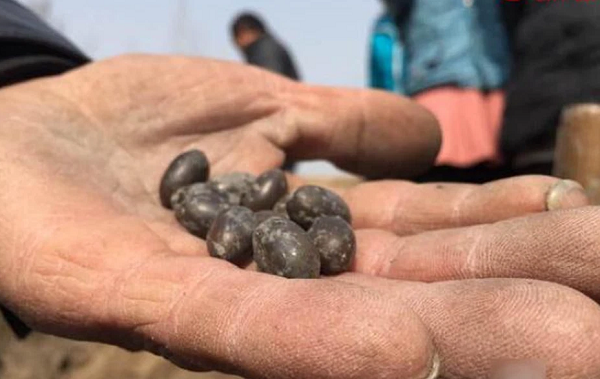 Một người dân sống gần công trường xây dựng ở thị trấn Hình Khẩu, thành phố Khai Phong thuộc tỉnh Hà Nam, Trung Quốc đã vô tình phát hiện một vài viên đá màu đen kỳ lạ.