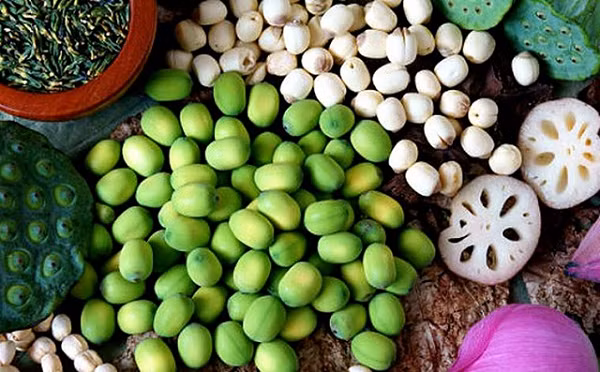 Hạt sen có hàm lượng các chất protein, magie, kali và phốt pho cao, trong khi hàm lượng mỡ bão hòa, natri và cholesterol lại rất thấp.