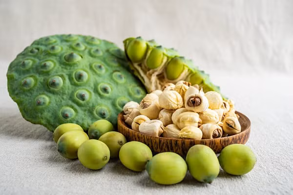 Bởi sự xuất hiện của hạt sen thời Tống đã xác nhận rằng những ghi chép về sự thay đổi của sông Hoàng Hà và sự ra đời của các địa danh trong ghi chép lịch sử là thật.