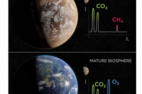 Giai đoạn 2 - Sinh quyển hoàn thiện: Đây là khoảng thời gian từ 2,5 tỷ đến 540 triệu năm trước giống như ở Trái đất. Các lục địa khi đó đã hình thành ổn định, thảm thực vật phát triển và quang hợp khiến oxy tích tụ trong khí quyển, và tầng ôzôn xuất hiện.