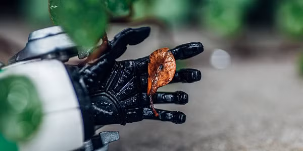 Một vấn đề mới được đề cập trong video của Abhigya Anand là "biodigital convergence - hội tụ kỹ thuật số sinh học". Theo nhà tiên tri, nó có thể thay đổi tương lai thế giới, con người. Hội tụ kỹ thuật số sinh học là một lĩnh vực nghiên cứu mới khám phá sự tương tác giữa các công nghệ với hệ thống kỹ thuật số và sinh học.