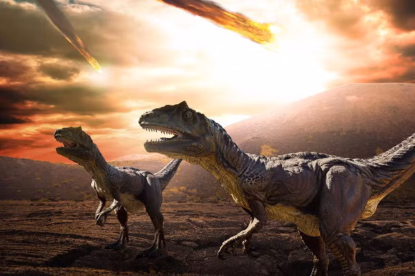 Để rồi theo lực quán tính, giống như những gì xảy ra khi người ta đổ nước quá nhanh vào một cái tô lòng sâu, làn sóng nước vọt lên trở lại.