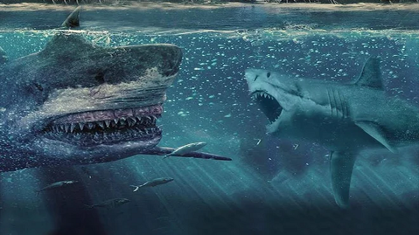 Nhiều mô hình nghiên cứu cho rằng Megalodon rất giống cá mập trắng lớn (Carcharodon carcharias), một trong những loài săn mồi hung dữ nhất đại dương và là loài cá mập săn mồi lớn nhất còn sống hiện nay.