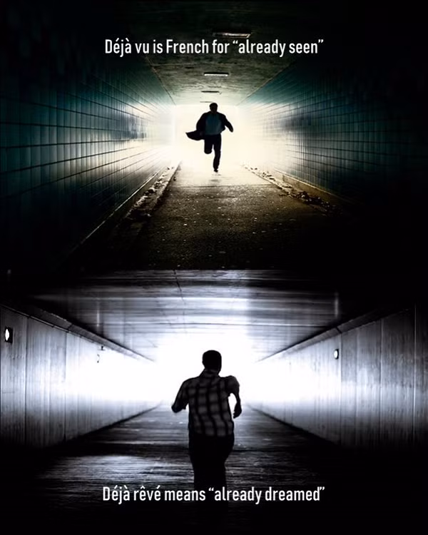 Tác giả chính của công trình về Deja Reve - Tiến sĩ Jonathan Curot thuộc Bệnh viện Đại học Toulouse (Pháp) cho biết, ông và các cộng sự sẽ nghiên cứu biệt lập về hiện tượng Deja Reve đồng thời tách cảm giác của Deja Vu ra khỏi cảm giác Deja Reve.