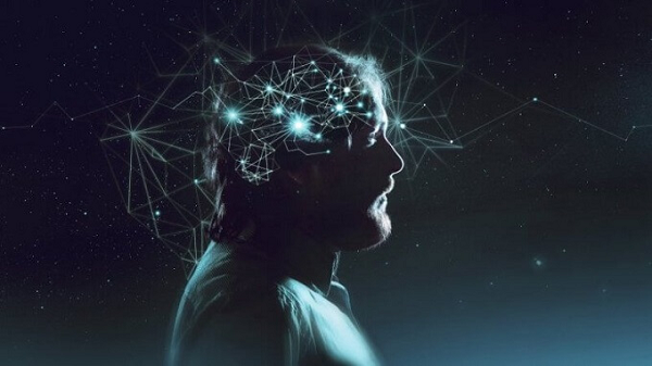 Deja Reve kiểu từng hồi, từng giai đoạn: Bệnh nhân có thể xác định chính xác (hoặc gần đúng) ngày mà họ sẽ có giấc mơ nhất định của mình.