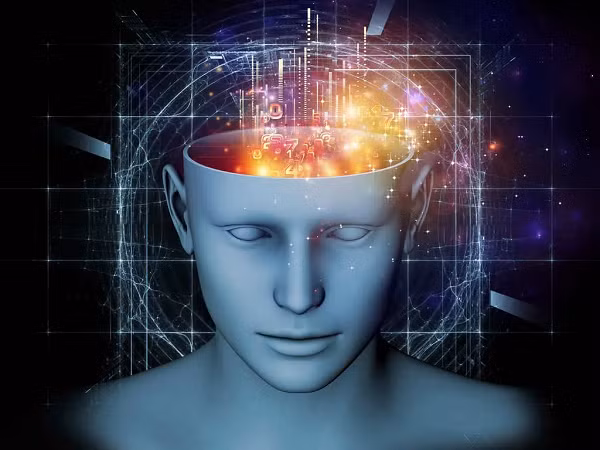 Hầu hết các nghiên cứu xoay quanh hiện tượng “đã từng mơ thấy” tập trung vào thời gian ngủ REM (một trong 4 giai đoạn của giấc ngủ ban đêm). Trên thực tế, những người tham gia nghiên cứu đã mô tả trải nghiệm Deja Reve của họ theo ba cách riêng biệt.