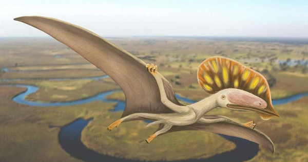 Theo giáo sư Steve Brusatte từ Đại học Edinburghtác giả chính của nghiên cứu cho biết trước đây dực long được cho là trở nên ngoại cỡ từ kỷ Phấn Trắng, khi chúng bắt đầu phải cạnh tranh với các loài chim sơ khai.