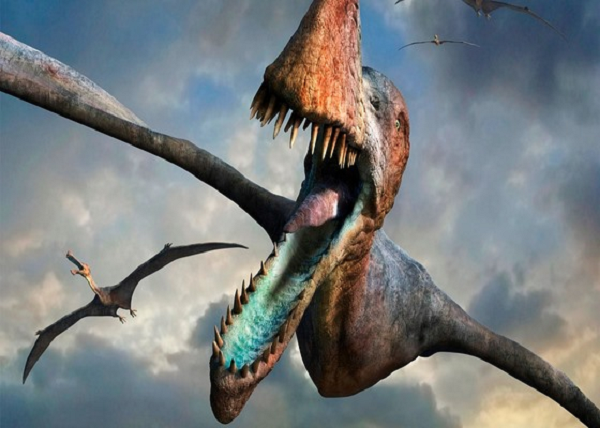 Các loài cổ nhất có răng hàm dài, đầy đủ trong khi các loài xuất hiện sau có cái đuôi bị thoái hóa bớt, và một số loài không có răng. Một số loài có lớp lông giống như tóc, lớp lông này che phủ thân và một vài phần cánh của chúng.