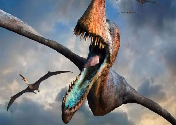 Các loài cổ nhất có răng hàm dài, đầy đủ trong khi các loài xuất hiện sau có cái đuôi bị thoái hóa bớt, và một số loài không có răng. Một số loài có lớp lông giống như tóc, lớp lông này che phủ thân và một vài phần cánh của chúng.