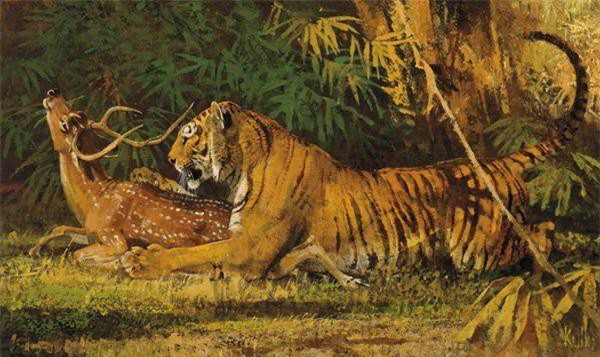 Dù nếu có bộ lông xanh, hổ có lẽ sẽ khó bị phát hiện hơn, nhưng quá trình tiến hóa không hoạt động với các thành phần cần thiết để tạo ra bộ lông xanh.