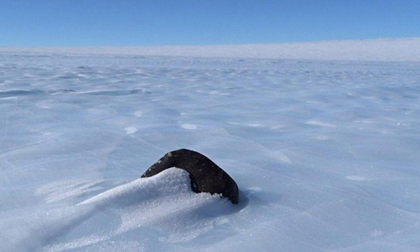 Nhóm nghiên cứu cũng giải thích, thiên thạch rơi khắp thế giới, nhưng môi trường Nam Cực khiến chúng dễ dàng được khai quật hơn. Tuy nhiên việc tìm được nó ở lục địa lạnh giá chết người này là một nhiệm vụ nguy hiểm.