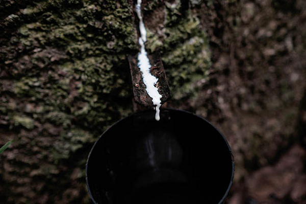 Dù vậy, nền văn minh Maya vẫn ẩn chưa nhiều bí ẩn và khiến hậu thế bất ngờ vì đạt đến trình độ đáng kinh ngạc. Bắt đầu hình thành từ năm 2.000 TCN, Maya được coi là một nền văn minh nổi tiếng trong những lĩnh vực như toán học, kiến trúc, thiên văn, thuật chiêm tinh…