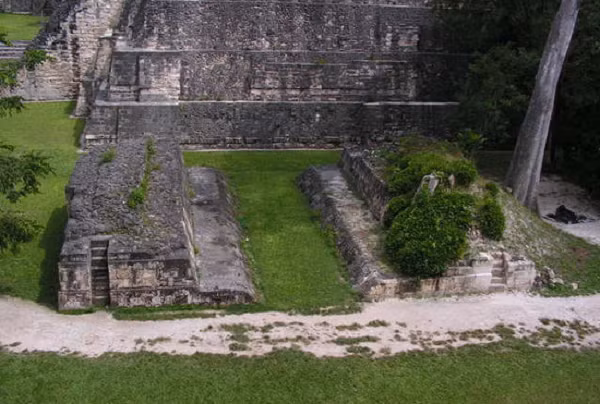 Đặc biệt, chữ tượng hình được giải mã từ các cuốn sách cổ của người Maya cũng ghi lại thông tin quan trọng bao gồm nguyệt thực, chuyển động của các vì sao và lịch.