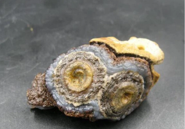 Nghe vậy cô vô cùng vui mừng vì việc nhặt được 1 viên đá quý quả là 1 sự may mắn hiếm thấy, chưa kể tới rằng nó còn có giá trị lớn nữa.